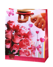Professional Exporter of Gift Bag