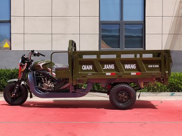 Reliable Three-wheeled Cargo Bike for Urban Deliveries