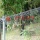 PVC Galwanizowany Roll Top Fence BRC Fence