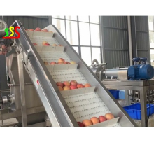 2 Tons/Hour Organic Fruit Apple Puree Processing Line