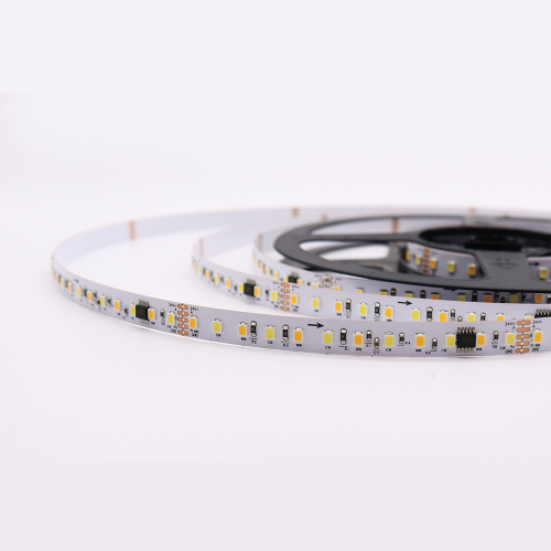 SMD 2835 120LED/M adressierbares DMX512 Digitaler LED -Streifen