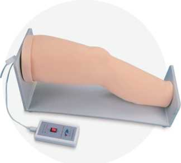 Knee Joint Cavity Injection Model