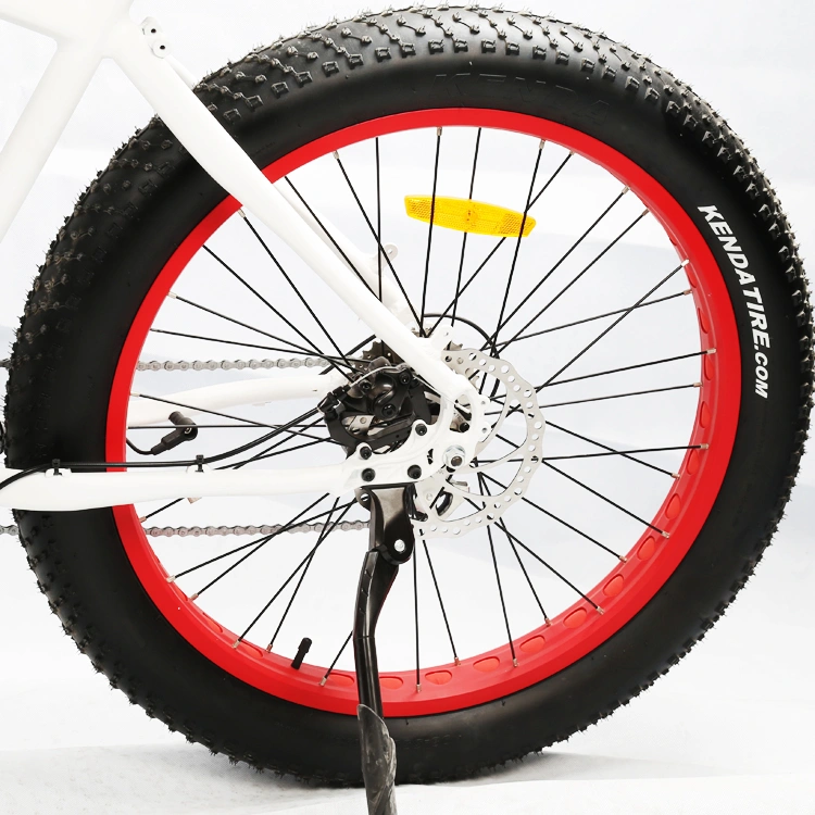 Middle Drive 48V 350W Fat Tyre Electric Bike for Sale