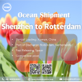 Shenzhen에서 Rotterdam까지의 해상화물