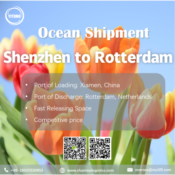 Meeresfracht von Shenzhen bis Rotterdam