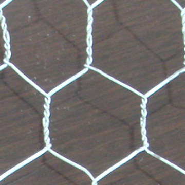 Good Quality Galvanized Hexagonal Chicken Wire Mesh