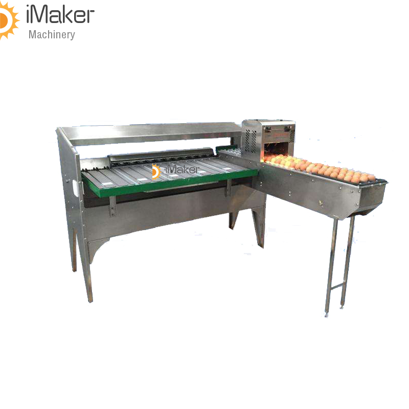 poultry farm use chicken egg grading sorting machines automatic