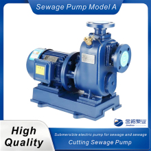 Durable Direct-connected Sewage Self-priming Pump Design