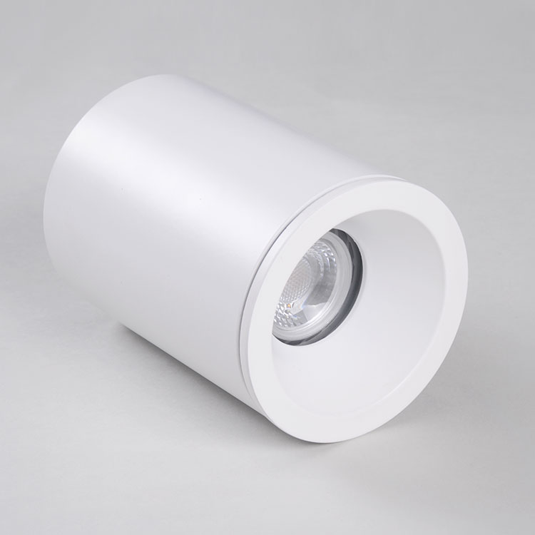 IP65 ceiling waterproof light Fixed Surface mounted downlight