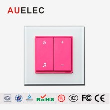Modern Design 2 Gang Luxury Light Electrical Switch