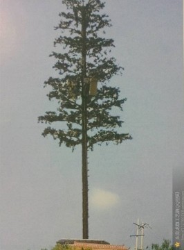 hot sale artificial tall pine trees
