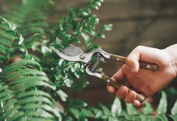 hot selling Pruning shears