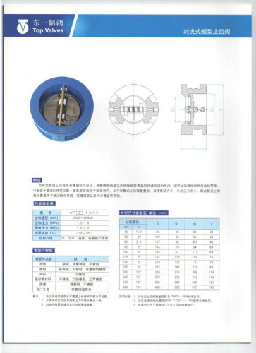 cast iron check valve