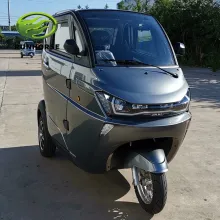 EEC Coc Approved J1 3 Wheel Electric Passenger Vehicle