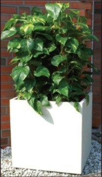 Modern fiberglass planters