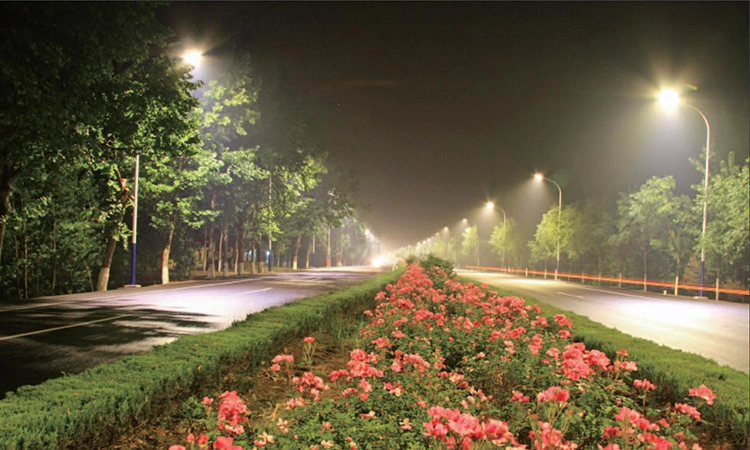 Automatic Light Control Outdoor LED Solar Street Light