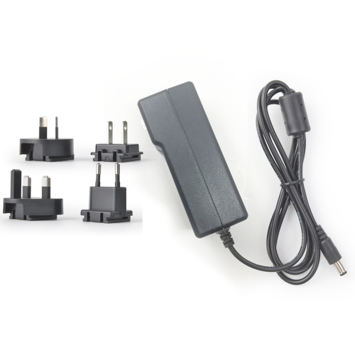 24V 2A Interchangeable Power Adapter