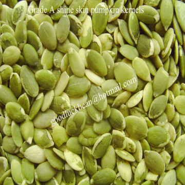 Green pumpkin seed kernel