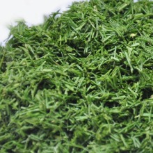 Freeze Dried Parsley