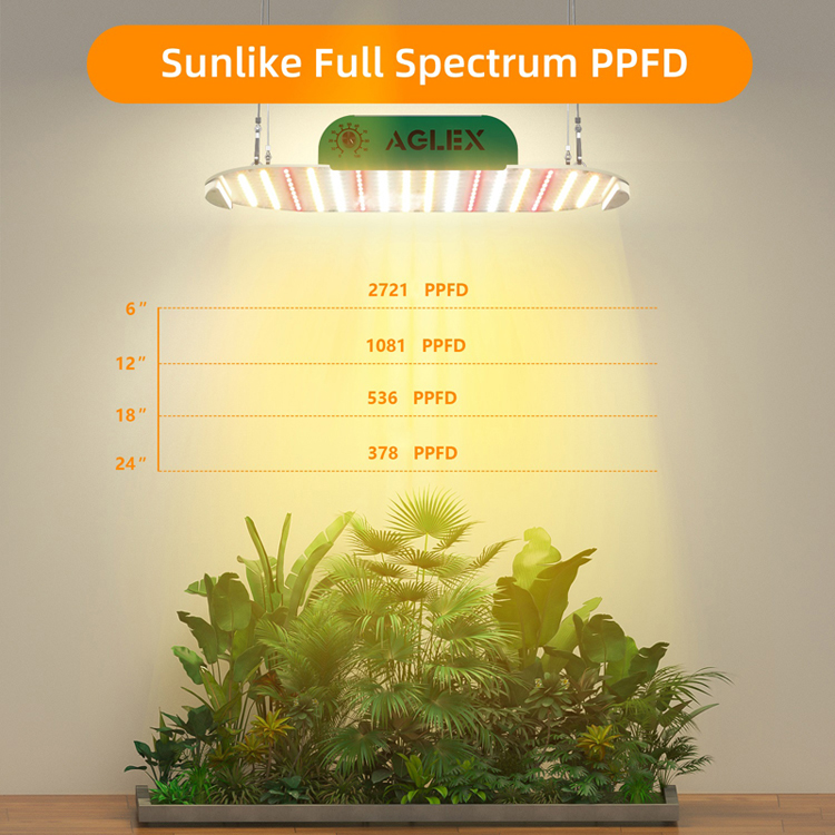 Pencahayaan Hebat 1000w LED Plant Grow Light