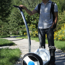 Personal vehical, electric chariot, , self balancing scooter