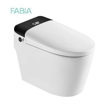 Smart Toilet Water Closet With Bidet Wash