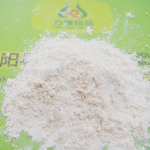 history garlic powder