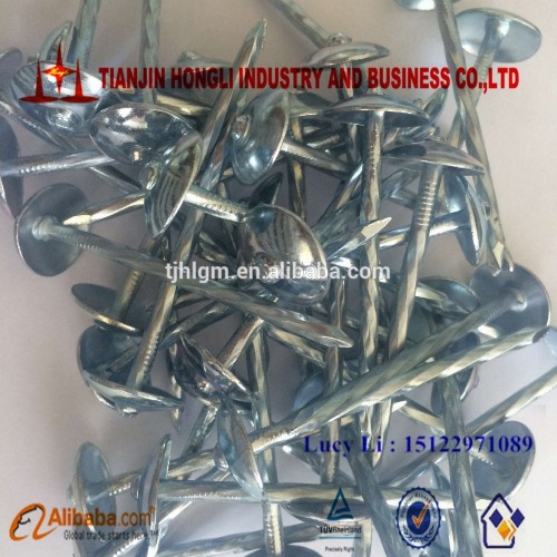 China supplier roofing nail/galvanized roofing nail/umbrella head coil roofing