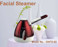 OHFS-02 micro mist steamer For Skin Care, Face Steaming and Cleaning