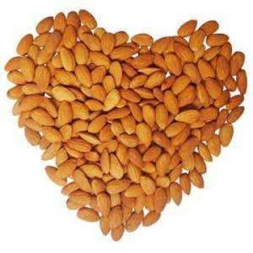 Apricot Kernels อัลมอนด์ถั่ว