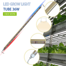 Greenhouse Led Grow Light
