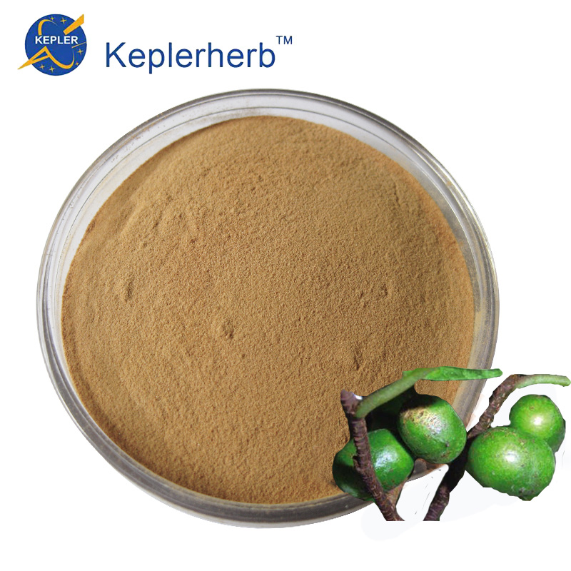 Pygeum Africanum Extract Powder