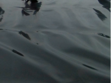 LLDPE Geomembrane containment lining system