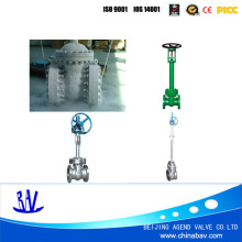 Cryogenic Gate Valve