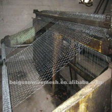 hex wire mesh (APBG factory)