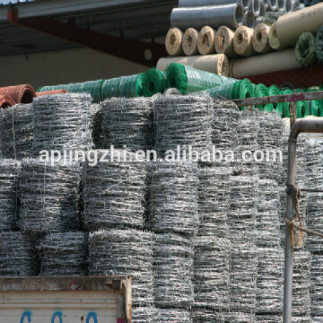 Electro galvanzied barbed wire