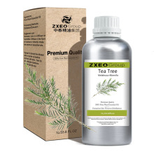 Factory wholesale high quality tea tree oil price in bulk for face wash and free tea tree oil product samples