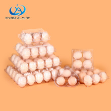 Disposable PET Egg blister Packing Tray