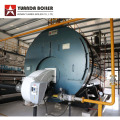 LPG CNG LNG Natural Gas Fuel Fired Boiler