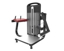 Glute Extension/Gym Equipment
