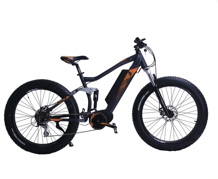 Full Suspension Ebike Bafang Max Drive MID Motor Fat Tire Electric Bike