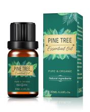 Pine Essential Oil Bulk Plant Oil For Cosmetic Pure Natural Pine Needle Oil Pine Needle Perfume