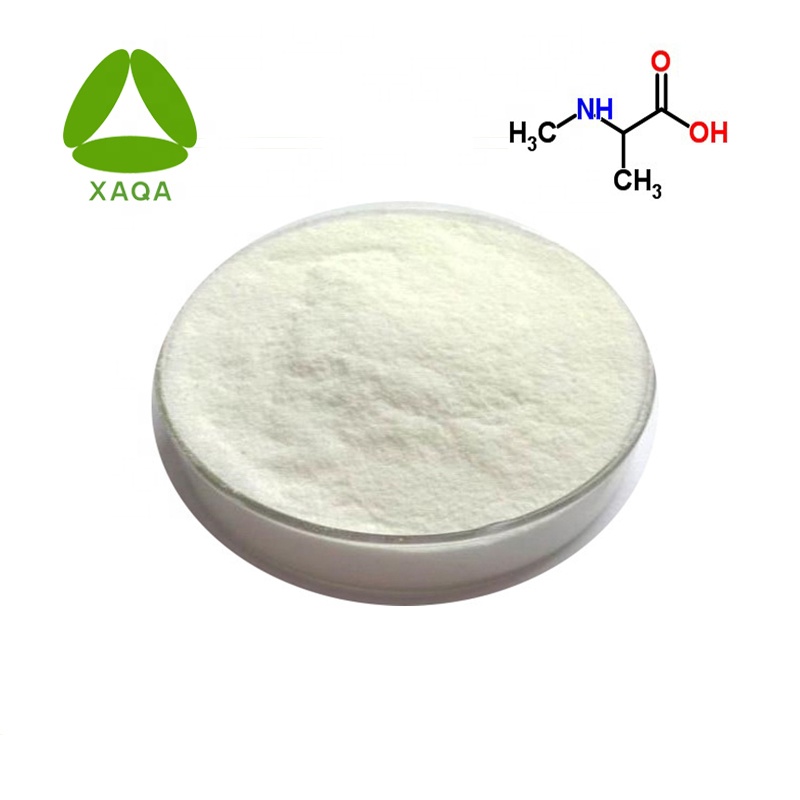 API N-méthyl-dl-alanine poudre N ° CAS 600-21-5