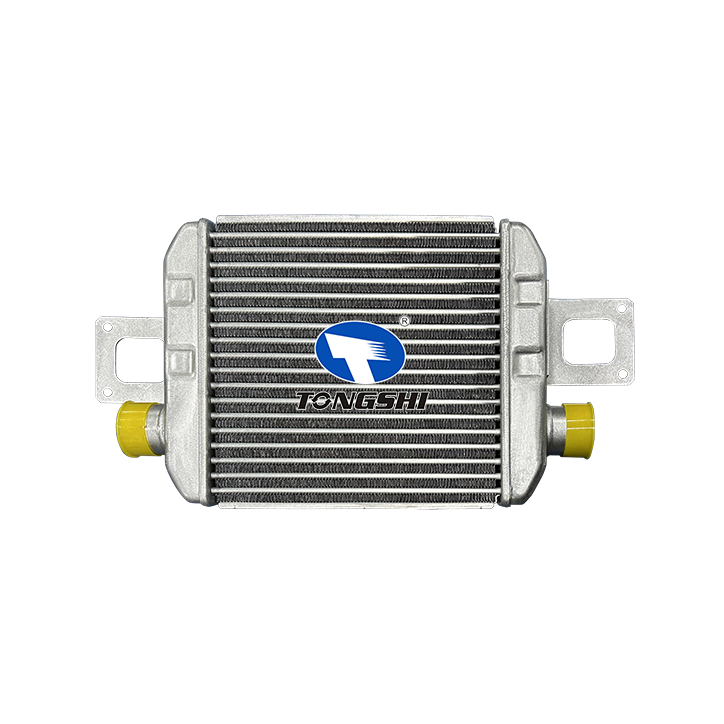 Auto Spare Part 179400W010 Aluminum Intercooler for Dutro Dyna 130HT/130HD Auto Spare Part 179400W010 Aluminum Intercooler for Dutro Dyna 130HT/130HD