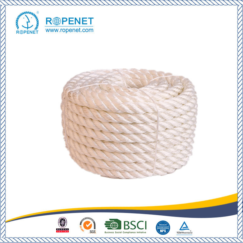 Polypropylene twisted rope with competitive price