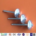 Factory price electro galvanized Q195 umbrella roofing nail