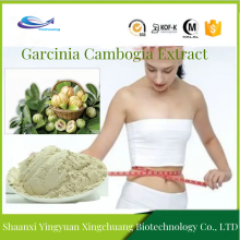 Loss weight hca garcinia cambogia extract