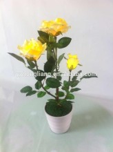 decorations flower light rose