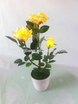 decorations flower light rose