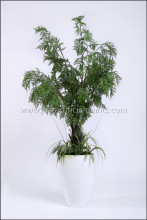 Artificial Fern Arrangements Decorative Non Toxic